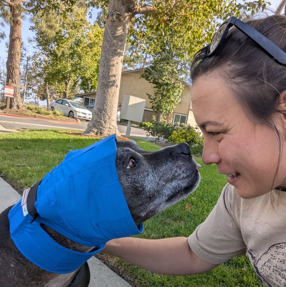 Meet your Posher, Karen - Picture 2 of 2